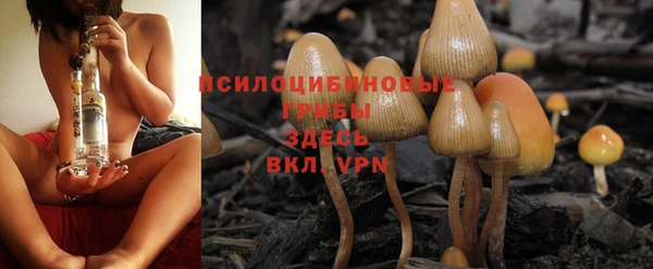 таблы Новосибирск