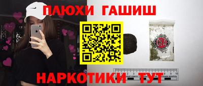 индика Ирбит