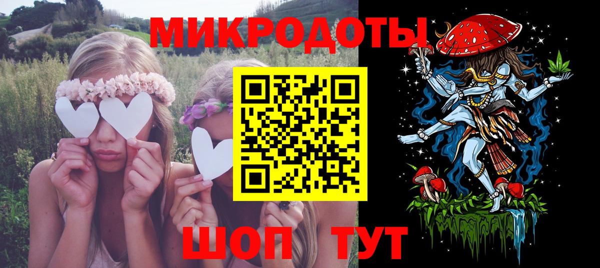 Галлюциногенные грибы Psilocybe  Россия  Псилоцибиновые грибы прущие грибы 