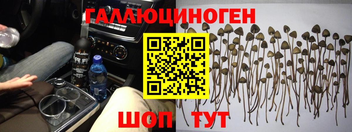 Россия  Галлюциногенные грибы GOLDEN TEACHER  Вход с VPN 