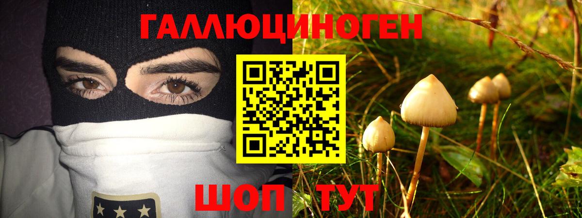 Галлюциногенные грибы мухоморы Россия